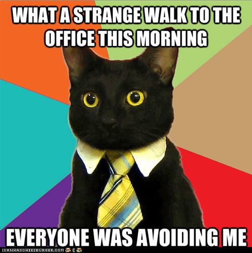 Cat-Friday-the-13th