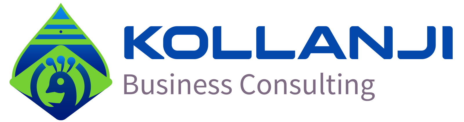 erp crm solution