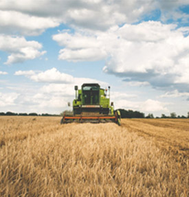 Agriculture275x287